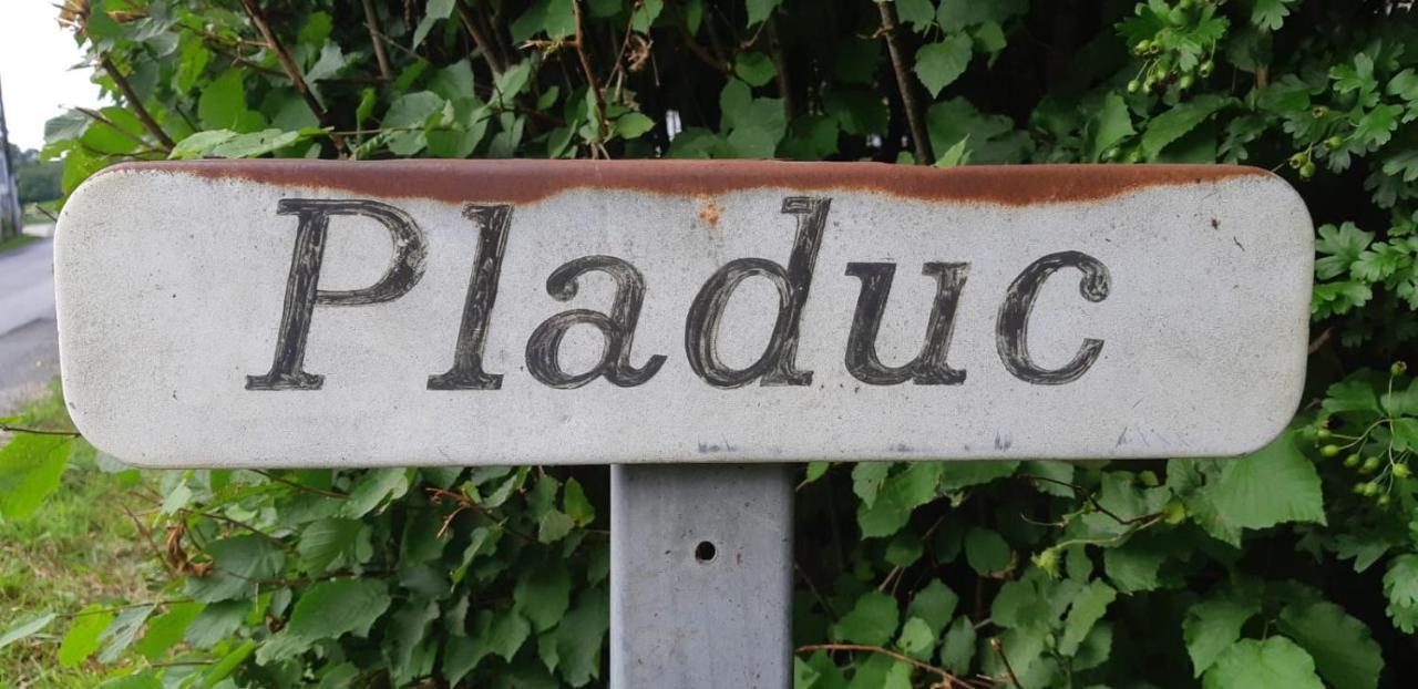 Bed and Breakfast Domaine De Pladuc Lachaise Екстер'єр фото