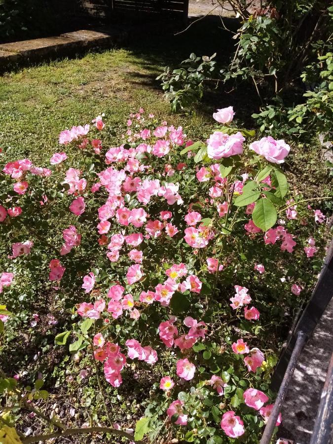 Bed and Breakfast Domaine De Pladuc Lachaise Екстер'єр фото